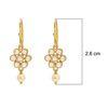 18K Yellow Gold Gold Cultured Freshwater Pearl,Diamond Earrings for women image 3