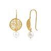 18K Yellow Gold Gold Cultured Akoya Pearl Earrings for women image 3